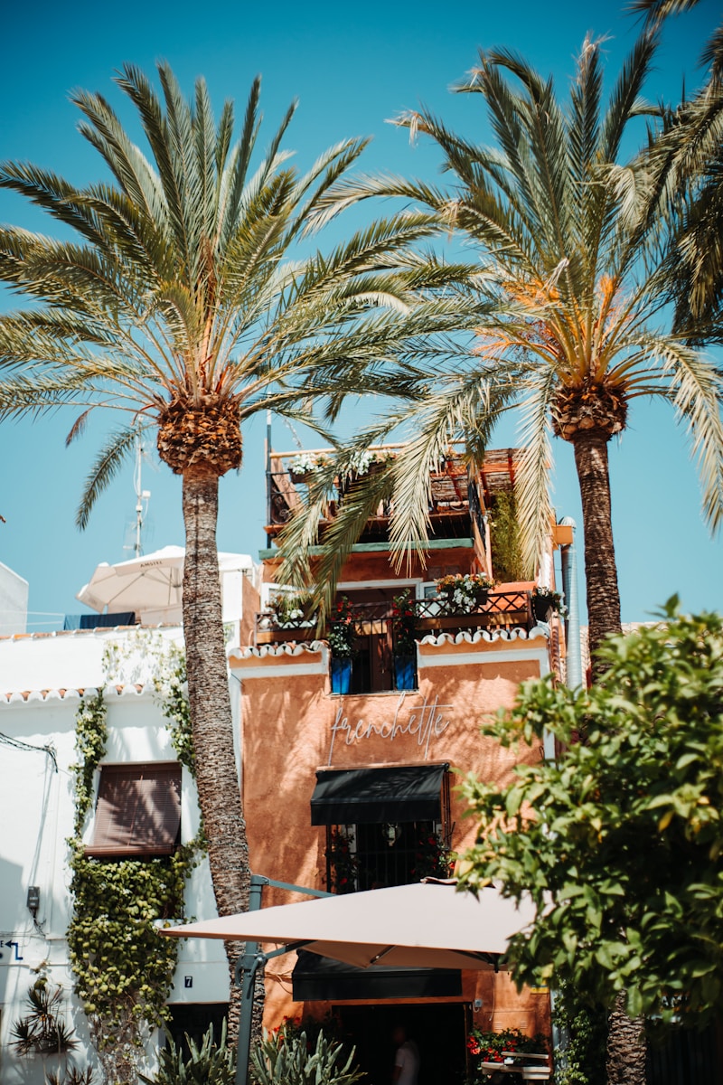 Luxury Homes in Marbella, A Complete Buyer Guide