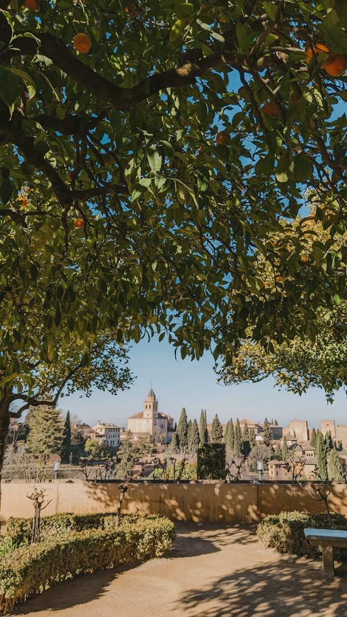 Granada Property Market Explained
