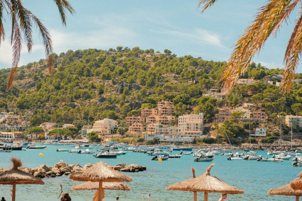 Boats anchored in a bay with palm trees and buildings.