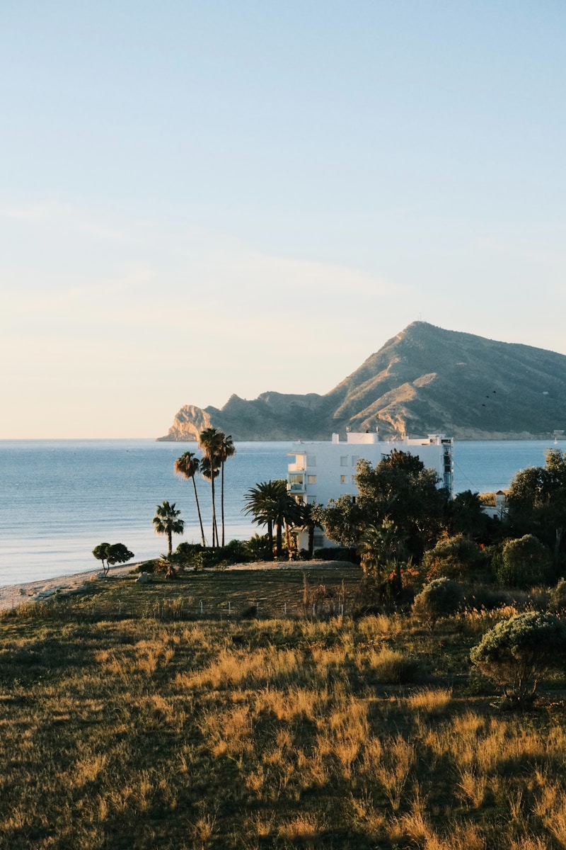 Altea Property Market Overview for Buyers
