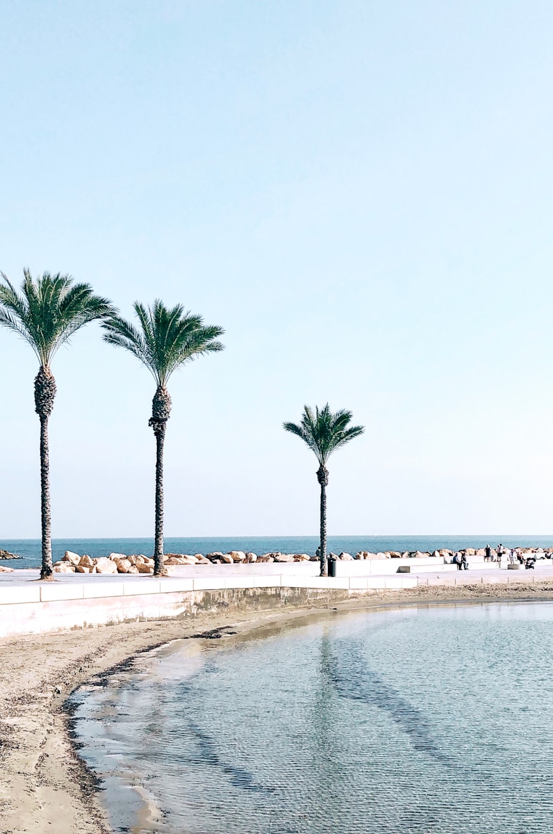 Living in Torrevieja, A Property Buyer’s Guide